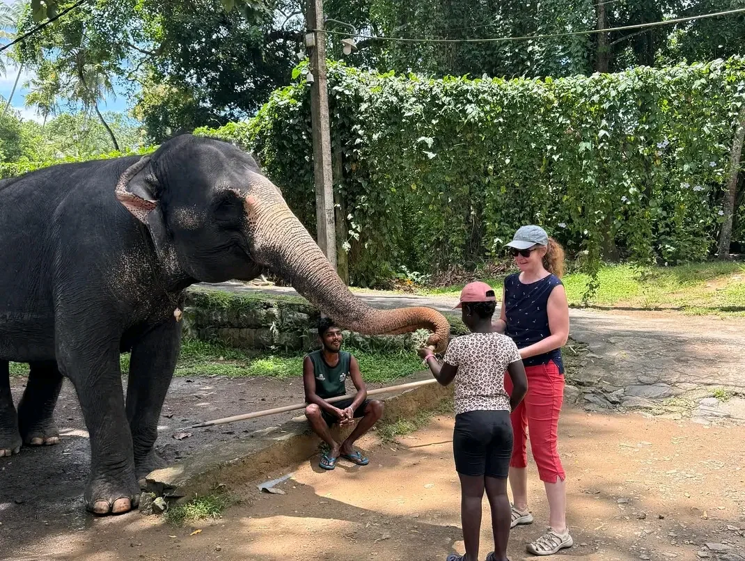 Ceylon Nomadic Travels Real Tour Moment